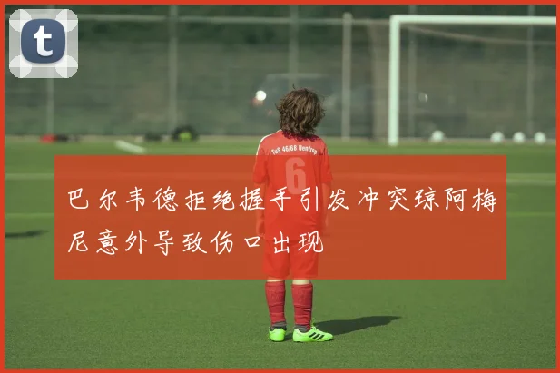 巴尔韦德拒绝握手引发冲突琼阿梅尼意外导致伤口出现